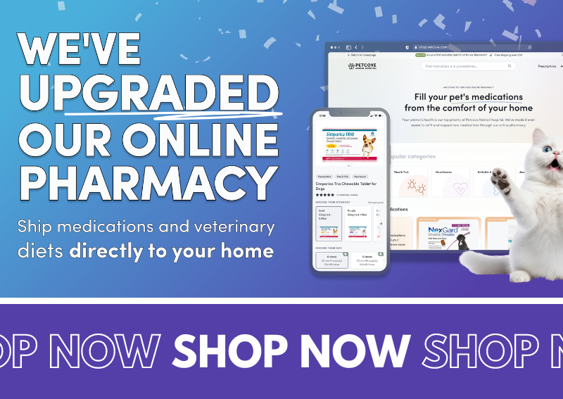 Carousel Slide 4: Shop our new and improved online pet pharmacy