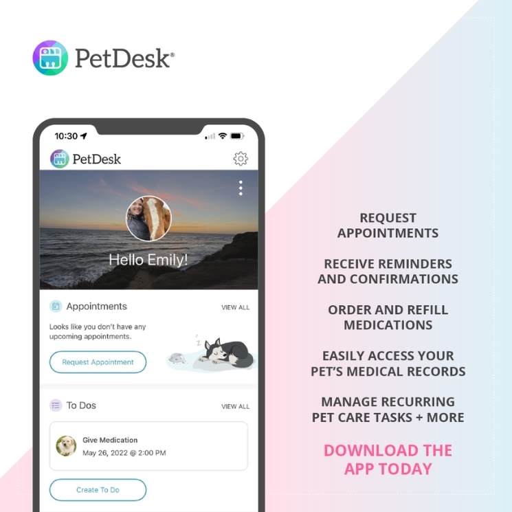 Download the PetDesk App